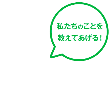 私たちのことを教えてあげる！