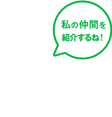 私の仲間を紹介するね！